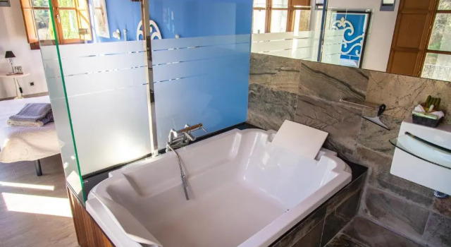 Двухместный номер Standard Hotel Castell de la Solana