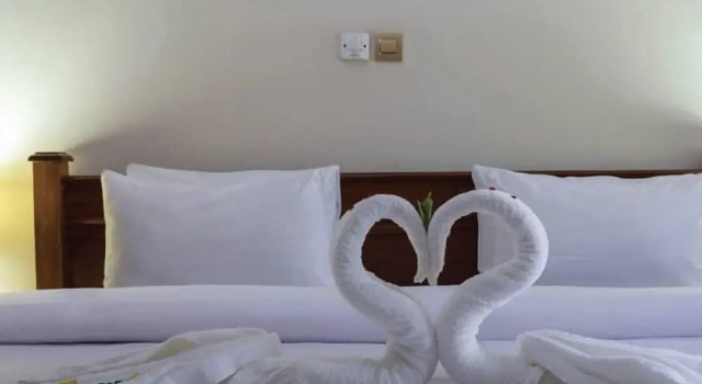 Номер Superior Hotel Green