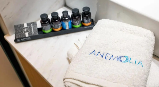 Двухместная студия Deluxe Anemolia Parga Suites