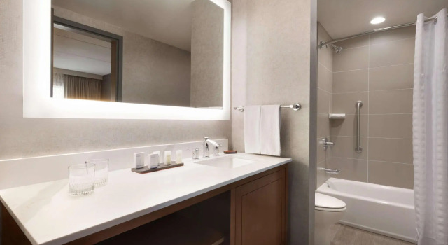 Четырёхместный люкс 2-room Embassy Suites by Hilton Chicago Naperville