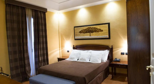 Люкс Artemis Hotel