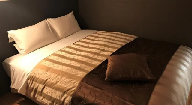 Номер Standard Hotel Katsuyama Premiere