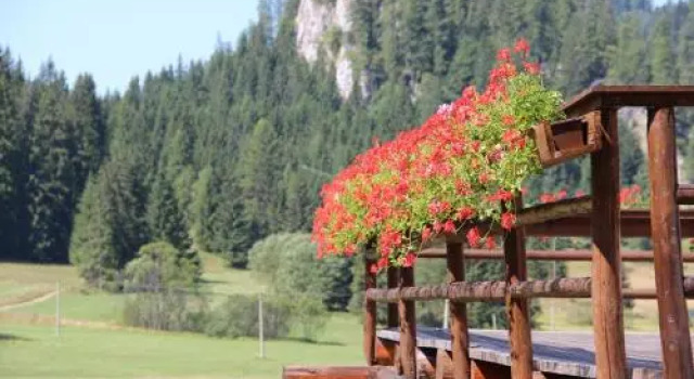Penzión Ľadová, Rezerwuj Hotel Dobszyna Košický kraj