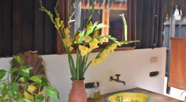 Posada Mexico, Book Hotel Hotels in Zipolite with Parking, Parking