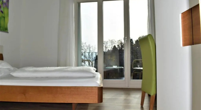 Одноместный номер Standard с видом на парк Hotel Lindenallee