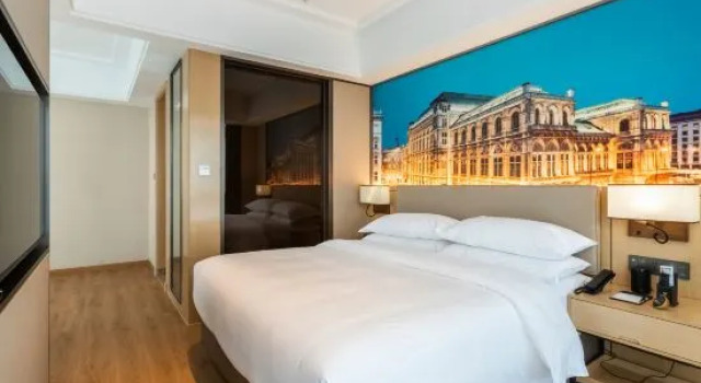 Люкс Business Vienna International Hotel (Haian Central Plaza)