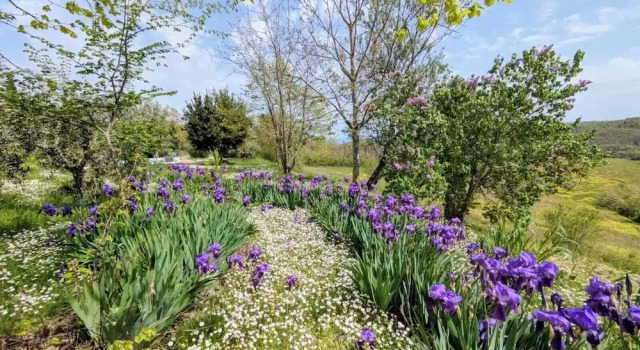 Коттедж Comfort Agriturismo Casa Greppo - Il Melograno