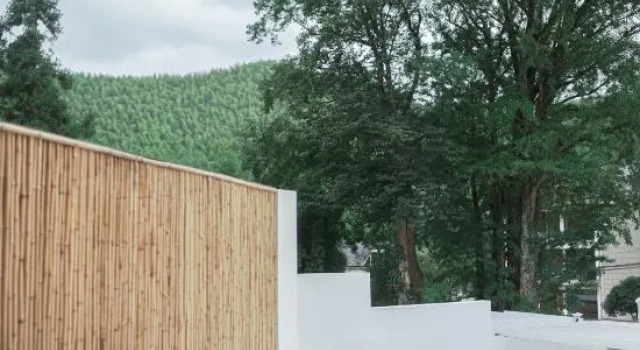 Apricot SENSE. Aesthetic Design of Mogan Mountain Residence, Book Boutique Jimiaowu Zhejiang