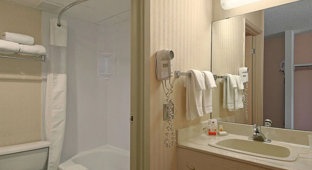 Трёхместный номер Standard Metro Inn Calgary Northwest