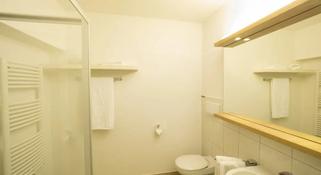 Двухместный номер Economy c 1 комнатой с балконом и с видом на горы Berghoteltirol