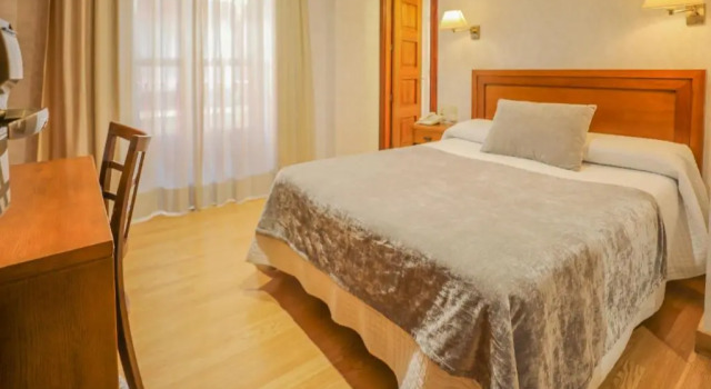 Двухместный номер Standard Hotel Granada Centro