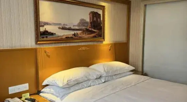 Люкс Deluxe Vienna Hotel (Xingning Downtown Square)