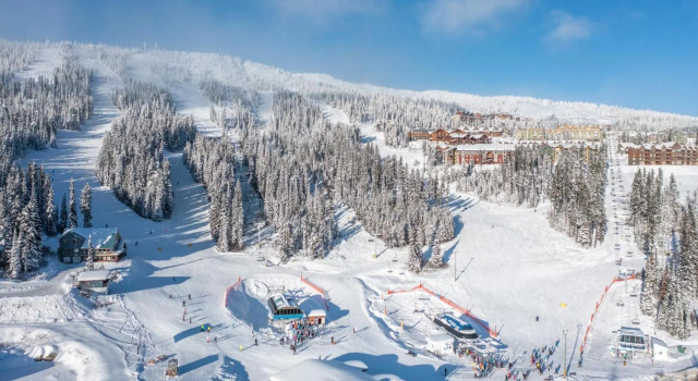 Towering Pines Chalet - Comfortable and Cozy Chalet with Spectacular Views