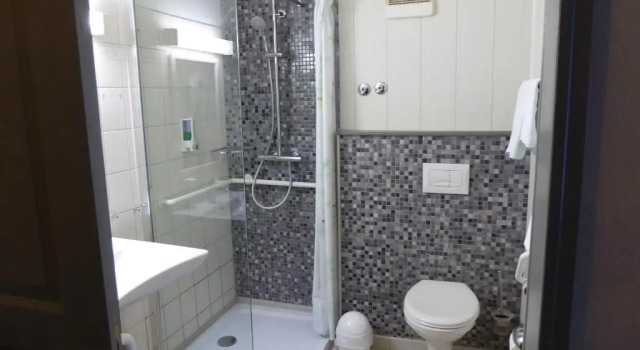 Одноместный номер Standard Landhotel Auerose Garni