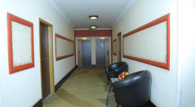 Люкс Executive Bonanza Addis Hotel