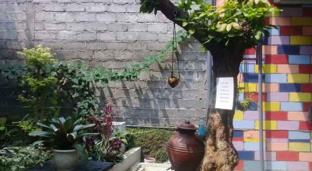Rumah Vandaroe