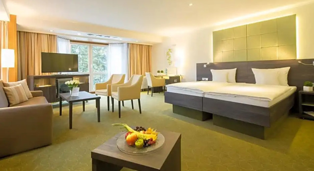 Номер Deluxe Hotel Celler Tor