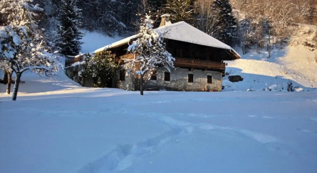 Шале Appartement-3-Chambres-8-Couchages-Wifi-Montriond-Chebourins