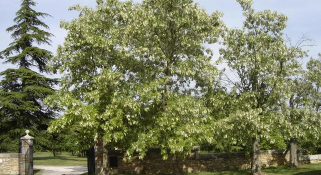 Коттедж Domaine Notre Dame