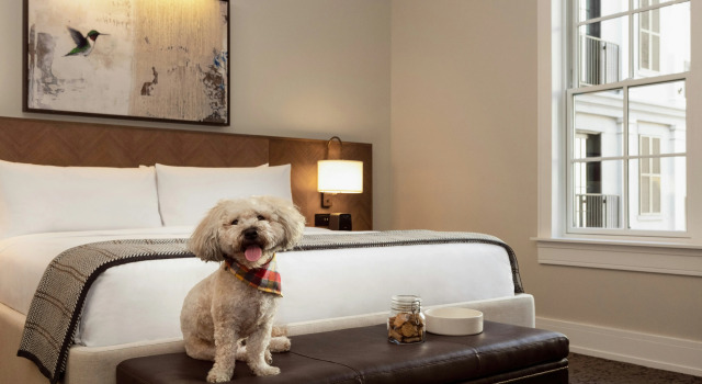 The Harpeth Franklin Downtown, Curio Collection by Hilton