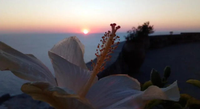 Апартаменты Olympos Archipelagos