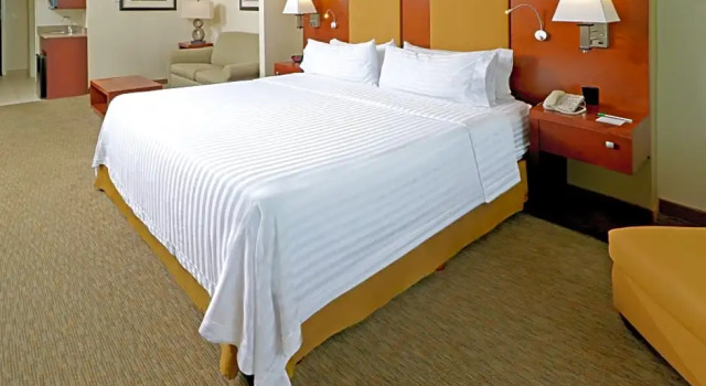 Двухместный люкс c 1 комнатой Holiday Inn Hotel & Suites Hermosillo Aeropuerto by IHG