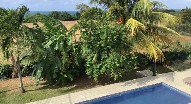 Villa Alizee Appartement N°6, Buchen Sie Ferienwohnung Apartments in Basse-Terre, Ferienwohnung
