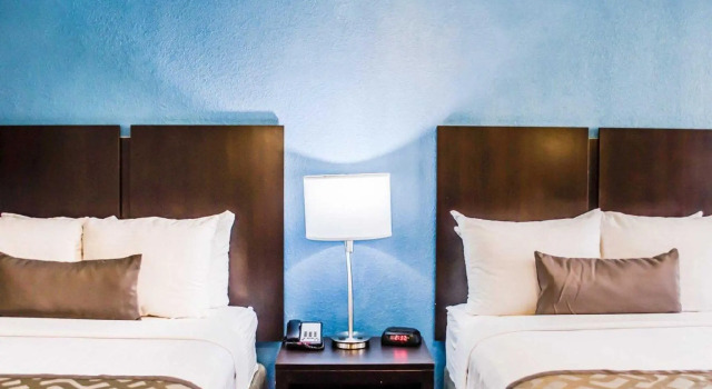 Четырёхместный номер Standard Quality Inn and Conference Center Tampa-Brandon