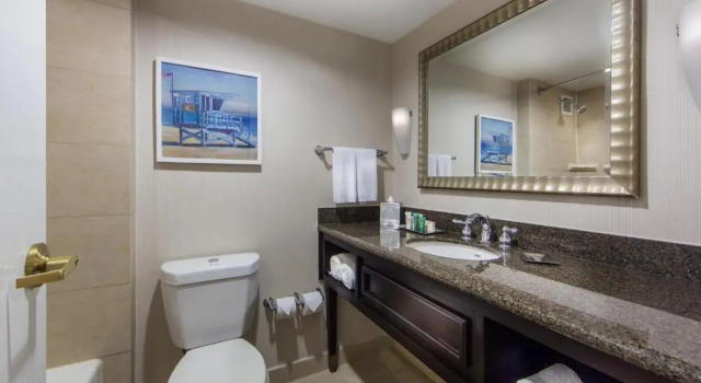 Двухместный номер Hearing Accessible Hilton Irvine/Orange County Airport