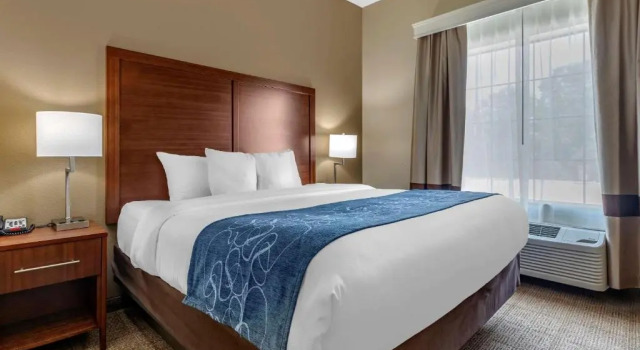 Люкс Comfort Inn & Suites Paris