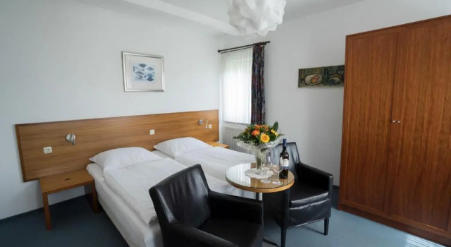Двухместный номер Standard Hotel Vogtland