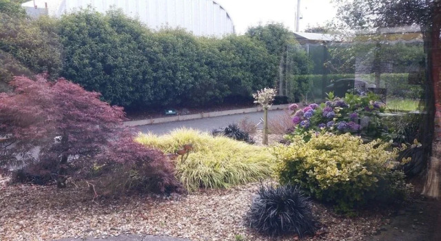 Ballyclogher House B&B, Book Bed and Breakfast Hotels in Kerry with Parking, Parking