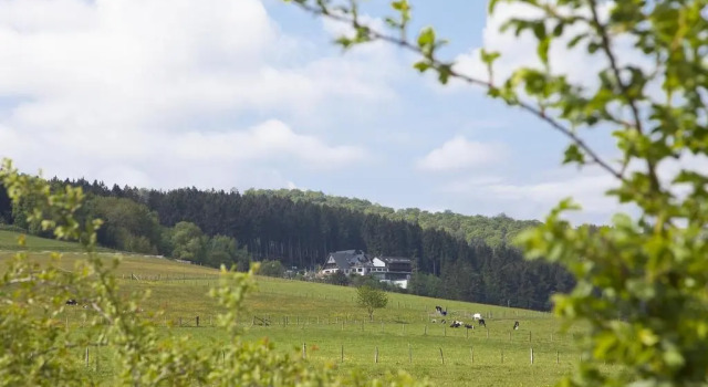 Номер Standard Wald Hotel Willingen