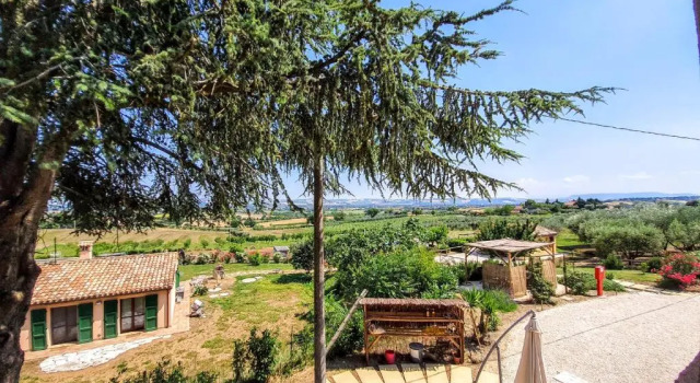 Студия Agriturismo Rosa Antica