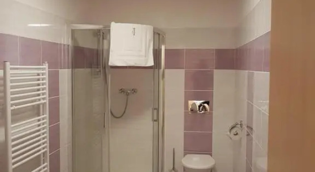 Четырёхместный номер Standard Rodinný wellness hotel U Langrů