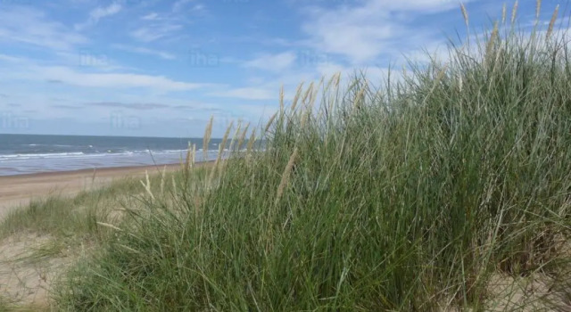 Апартаменты La Bohème Koksijde