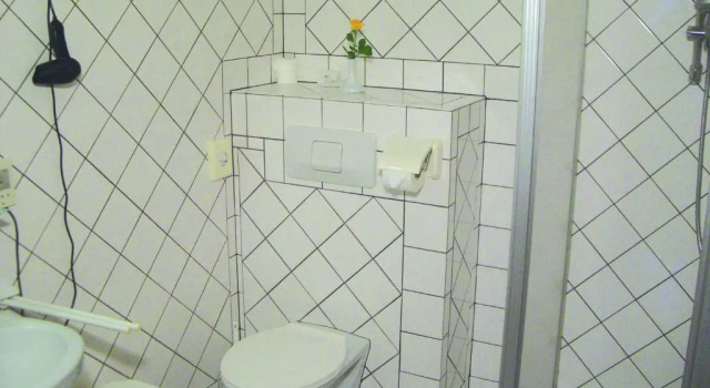 Standardowy jednoosobowy pokój Liezenerhof
