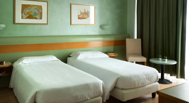 Одноместный номер Hotel Leonardo da Vinci