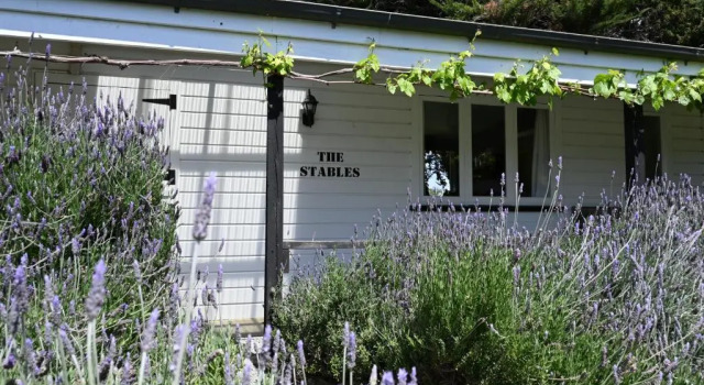 Номер Deluxe St Leonards Vineyard Cottages