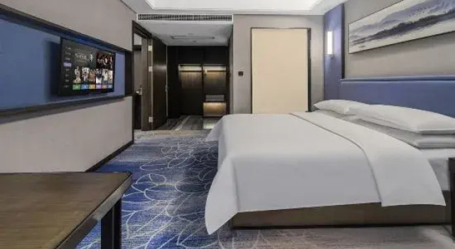 Люкс Premier Vienna Hotel (Foshan Yihuan Lishui)