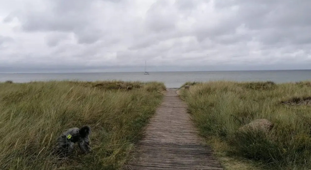 Коттедж Serene Holiday Home in Zealand near Sea