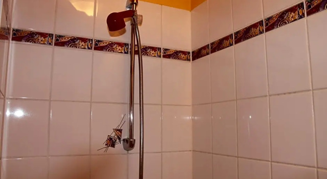 Номер Standard Alte Feuerwache