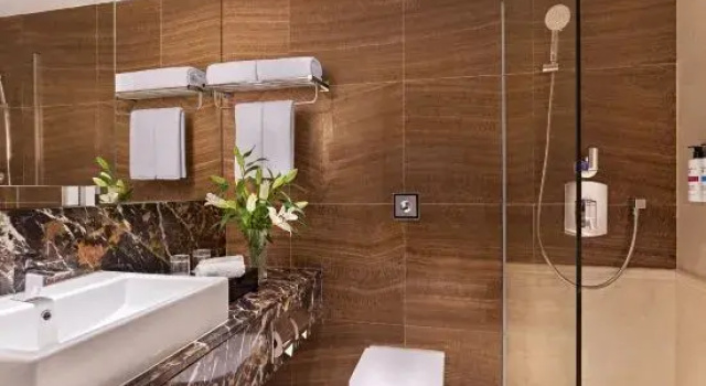 Superior Zimmer mit Blick Pullman Singapore Orchard