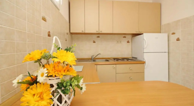 Апартаменты c 1 комнатой Apartments Vlado