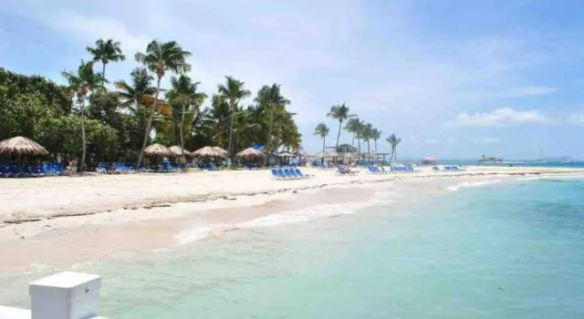 Апартаменты Palomino Island View