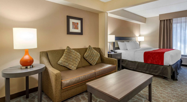 Двухместный номер Standard Comfort Suites Alpharetta-Roswell - Atlanta Area