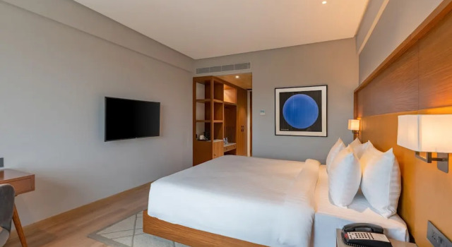 Номер Deluxe с балконом Radisson Hotel Nathdwara