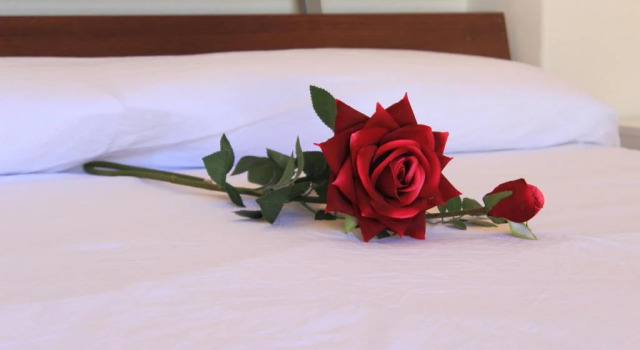 Manduria Holidays B&B Case Vacanza