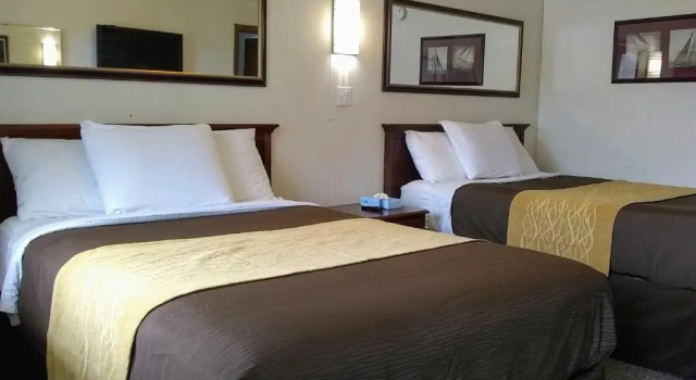 Четырёхместный номер Standard Green Valley Motel