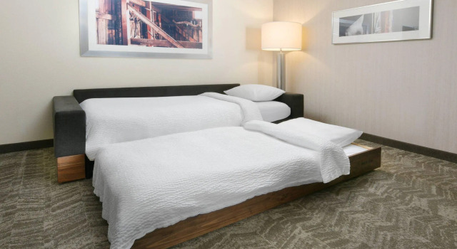 Четырёхместная студия SpringHill Suites by Marriott San Antonio Northwest at The RIM